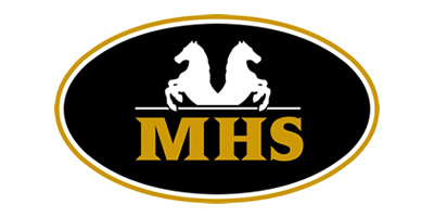 logo-minihorseshop